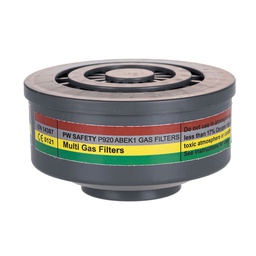 [P920GRR] Portwest P920 ABEK1 Gas Filter Special Thread Connection (Pk4)